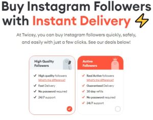 Cheap Instagram Followers service