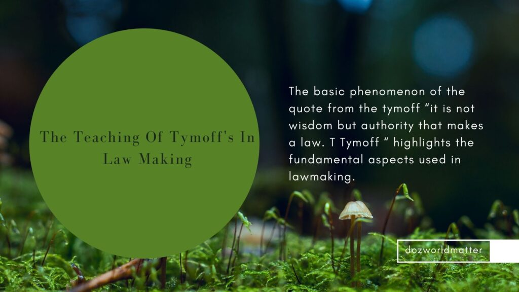 The Teaching Of Tymoff's In Law Making